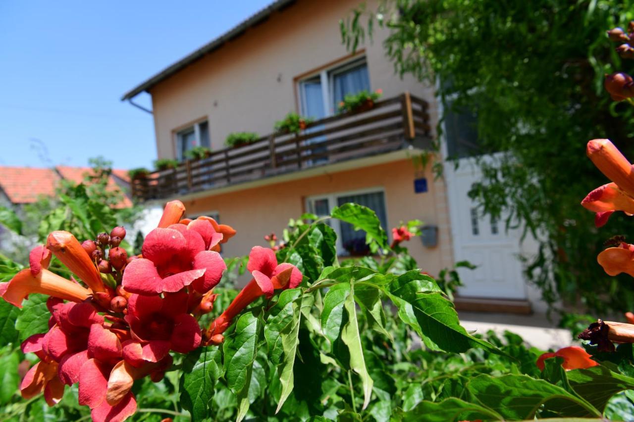 Apartman Dorijan Раковица Екстер'єр фото
