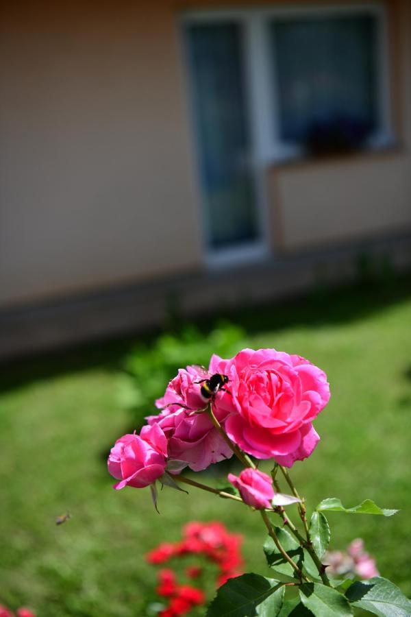 Apartman Dorijan Раковица Екстер'єр фото